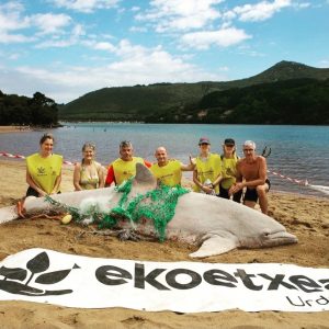 El mar empieza en nuestros pueblos. Arte por el cambio