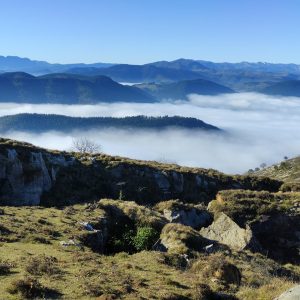 Tras la pista del Biotopo