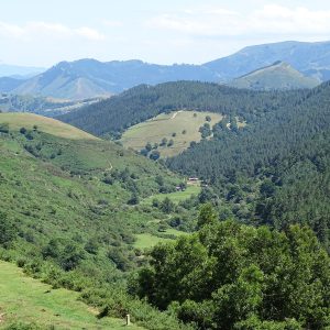 Los secretos del Valle Loiola