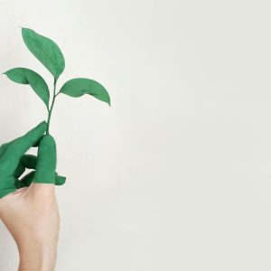 Biotrack