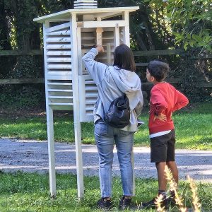 Yincana: Clima en juego