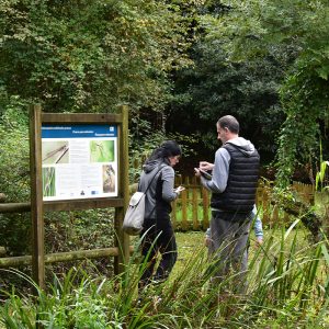 Yincana: Biodiversidad en juego