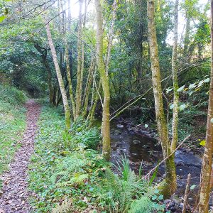 Conoce Urdaibai:la senda del golako
