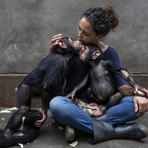 "MAMA": ver, escuchar y actuar por la vida salvaje