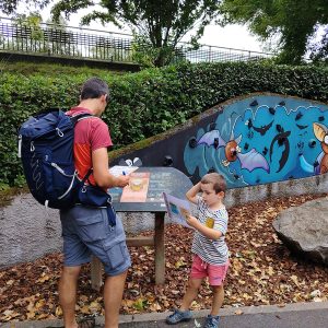 Conociendo la sostenibilidad