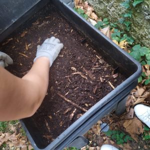 Compost fácil: de residuo a recurso