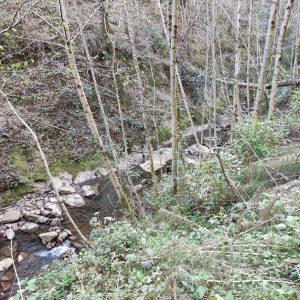 Conoce Urdaibai: El río Mape y sus tesoros ocultos