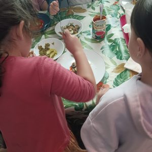 koxinatu-janari-soberakinak