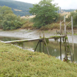 Día Mundial de los Humedales: El viaje del agua, ser humano y naturaleza