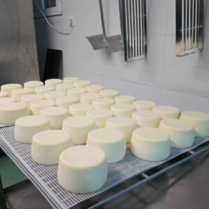 Elabora tu propio queso