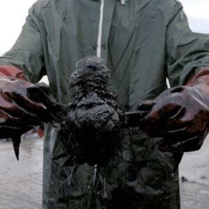 Salvemos nuestros mares