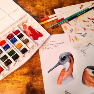 Ilustración científica. Cuando la naturaleza rompe los roles