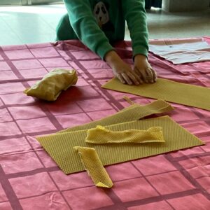 Zirkulatu: papel de abeja