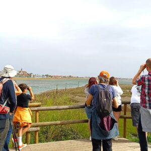 Conoce Txingudi: Humedales de Plaiaundi