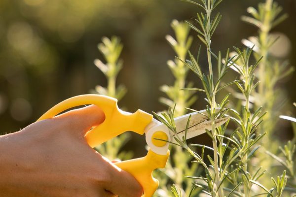 BB_Garbine-Larrea_Orokorra-2