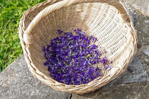 BB_Garbine-Larrea_Orokorra-4