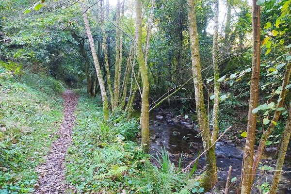 Ezagutu Urdaibai. Golako2