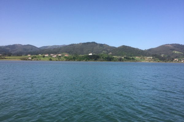 LA RÍA EN BARCO