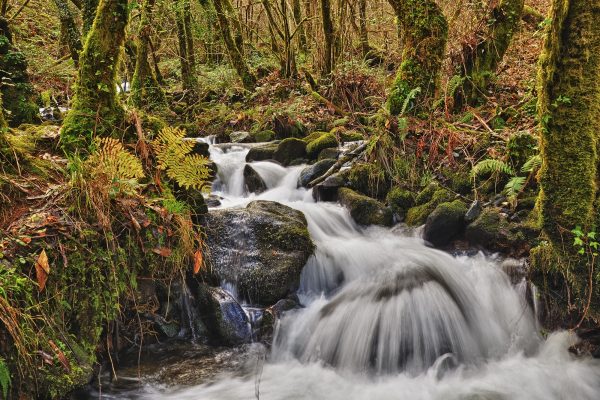 Fragas do Eume - Galicia (Spain)