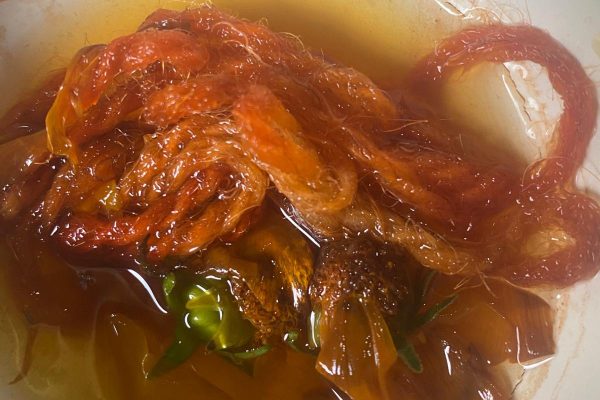 PHOTO-2025-10-30-14-30-16