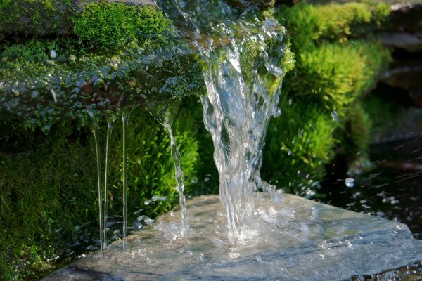 Close up shot of a homemade waterfall in a small backyard pond that filters water for a koi pond.