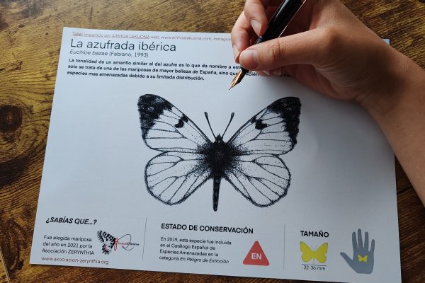 mariposa_03